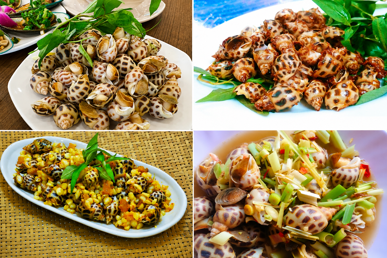 ốc hương